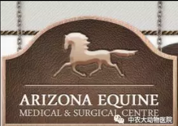 az.png